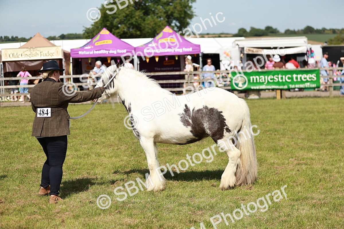 SBM_08615 - Class 63-65 - Traditional Gypsy Cobs In Hand & Ridden