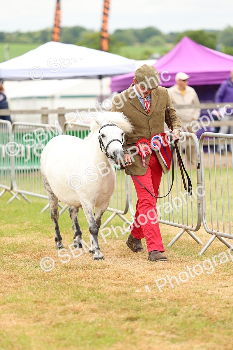 SBM_03557 - Class 58-67 - M&M Non Welsh Pony In hand