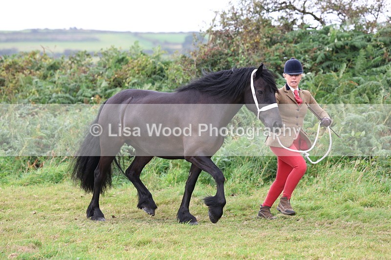 3E7A4553 - Class 16: Best Grass Kept