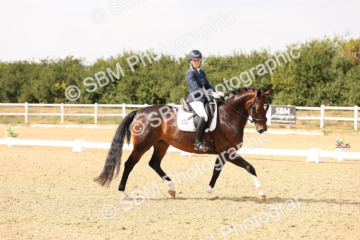 SBM_001982