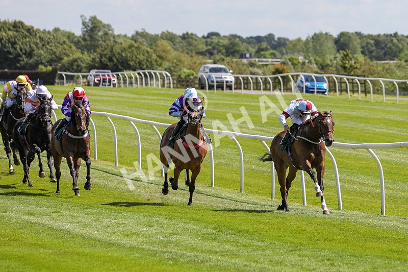 080624-Race 2-Patontheback-4606 - Race 2