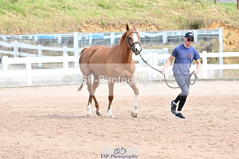 240717A-164304-03494 - Trot Up 4pm to 5pm