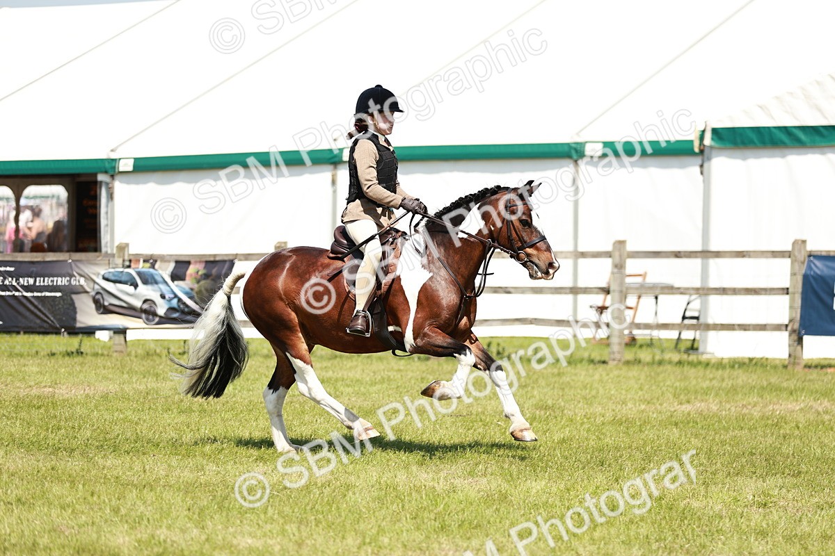 SBM_16359 - Class 110-111 - Training Stakes (70cms 80cms)