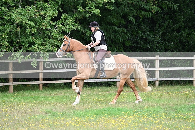 WJ7_0298 - XC Time 10:05 to 12:27