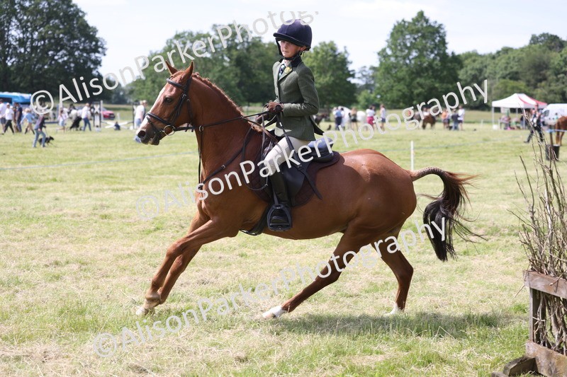 20260614-1873 - Class 21 - Novice Working Hunter Pony