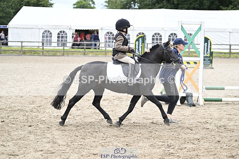 240822X-140304-08727 - 40cm LR R2 13.00 to 15.00