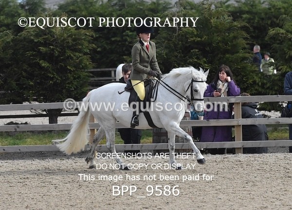 BPP_9586 - RING 2 - M&M