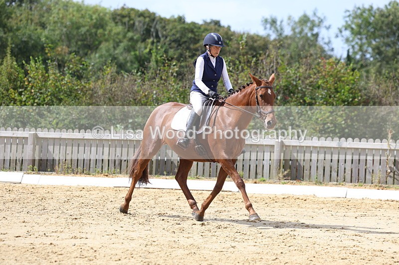 3E7A3977 - Class 9: Novice 6 Section B Championship