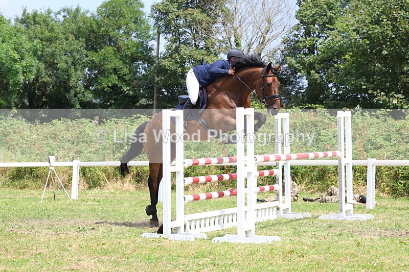 3E7A3386 - Class 10: Senior Foxhunter/1.20 open