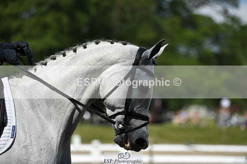 230525-103922-01759 - 314-CHANTILLY_AMATULLAH-Gaspard_Maksud-WEDTrotUp+DR