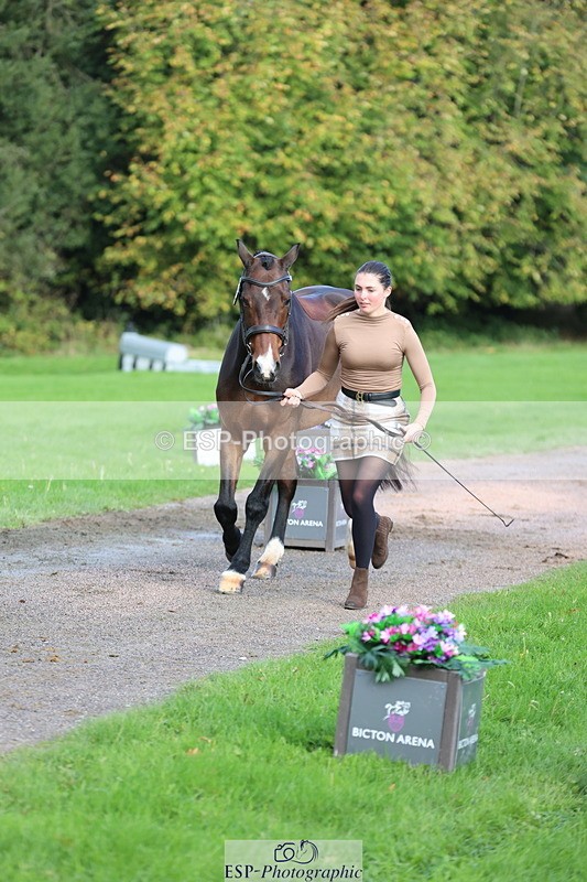 251026A-101958-22889 - D-354-Poppy.Burner