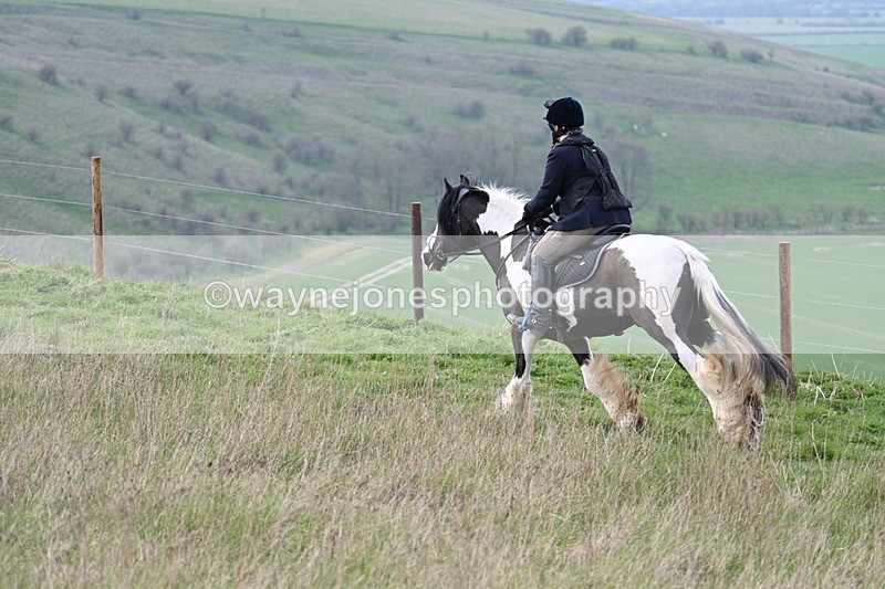 WJ7_8226 - Line 2 A camera