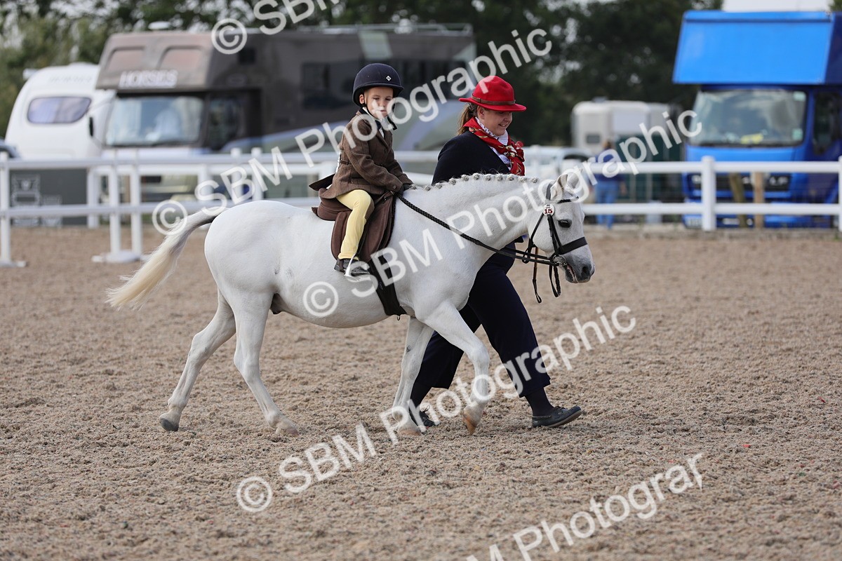 SBM_13960 - Class 309 Lead Rein Pony