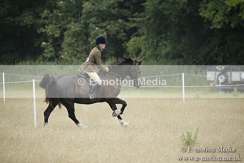 B230619-0721 - Bourne Valley Riding Club Summer Show 23/06/19