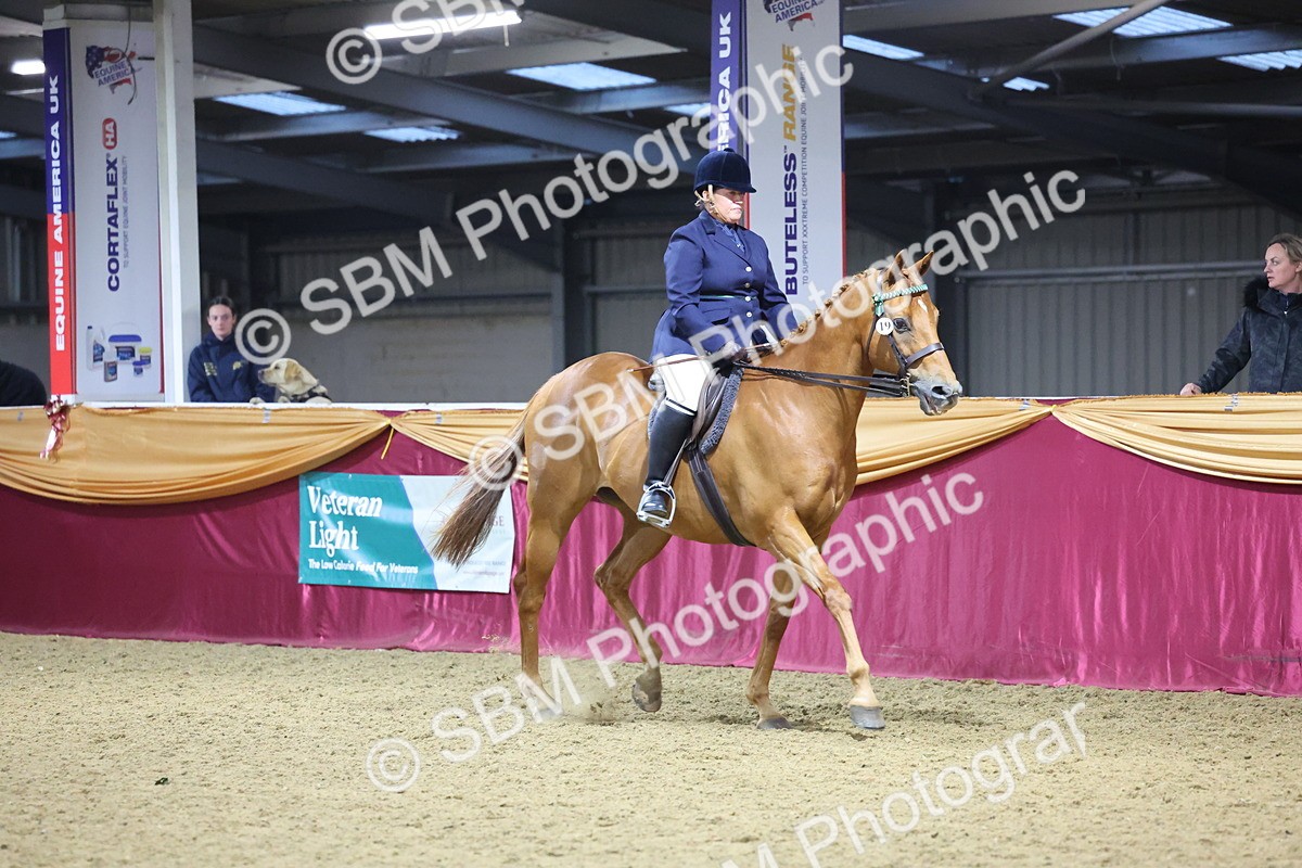 0B8A4280 - Class 108Ridden Retired Racehorse- Final Judging
