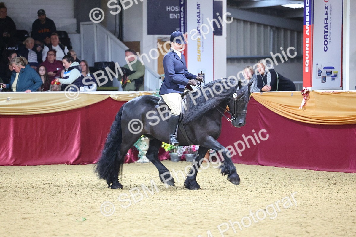 SBM_19275 - Class K Equitation Champ