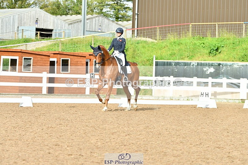 230912A-162903-01782 - Cls 18 FEI PSG