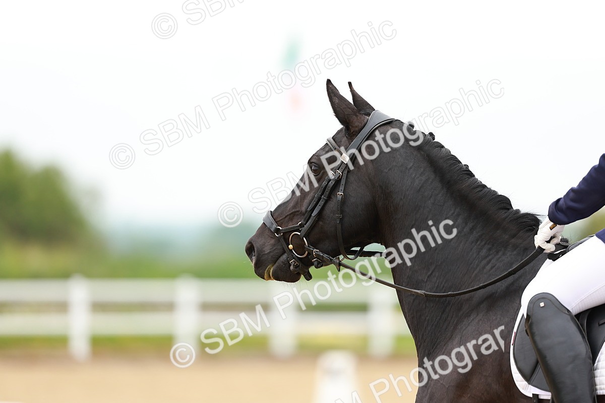 SBM_004743 - Class 15 - Novice 5