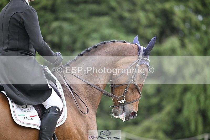 240523-150418-05178 - 438-GALWAYBAY_TALENT-Alberto_Giugni