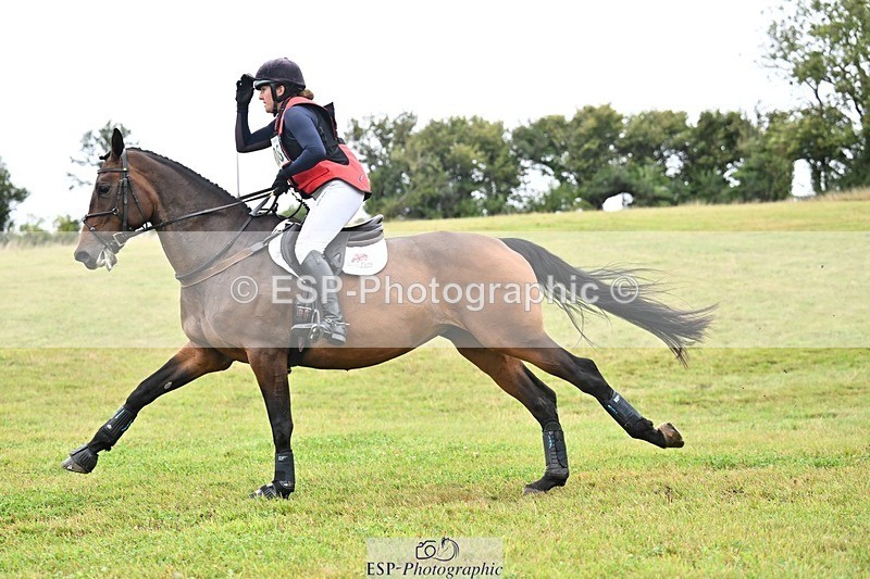 TS_b2596864 - SAT BE 90 Recovered Files fence 8