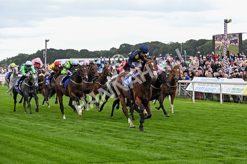 130626-Race 2-Extremely Zain-0389 - Race 2 14.25pm Sky Bet Supporting Macmillan Handicap