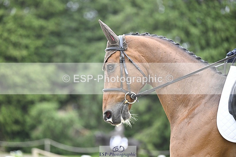 240523-164255-05504 - 446-SOMMERSBY-Jenny_Caras