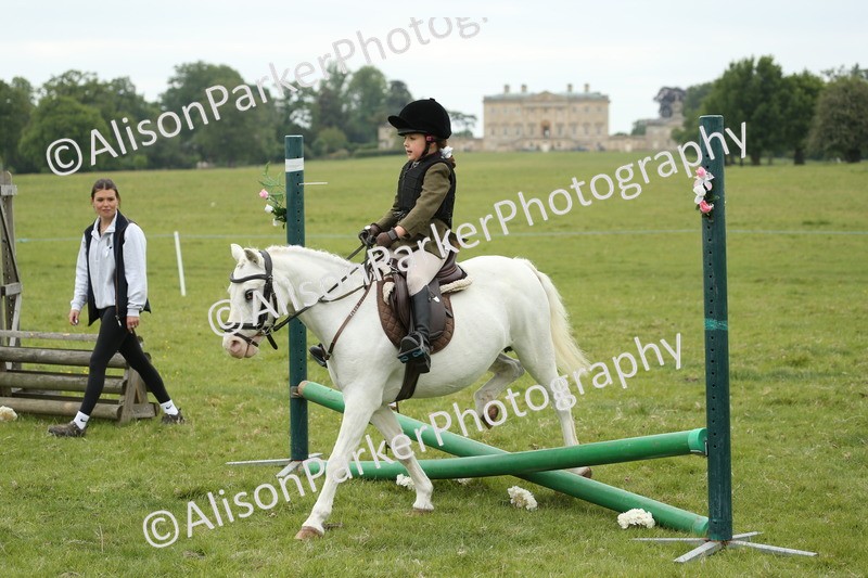 20250517-0407 - Class 20 - Beginners Working Hunter