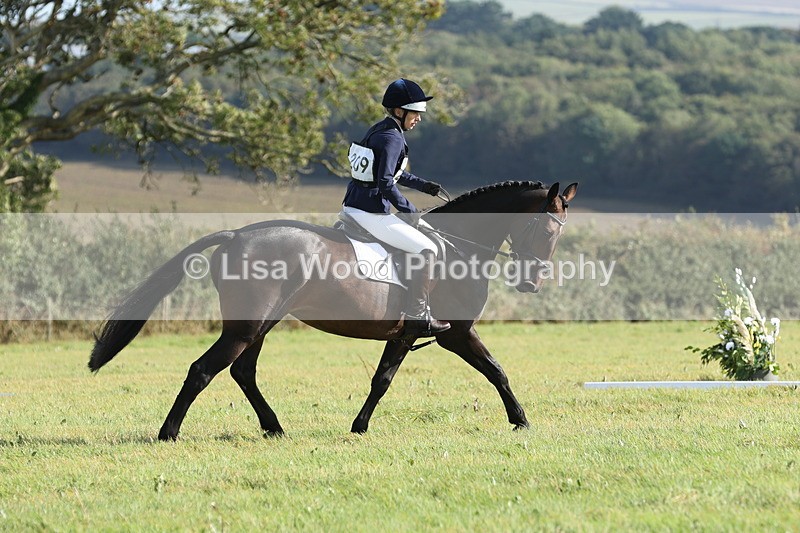 JPP_7996 - Class 2A: Trekenning Open: Dressage
