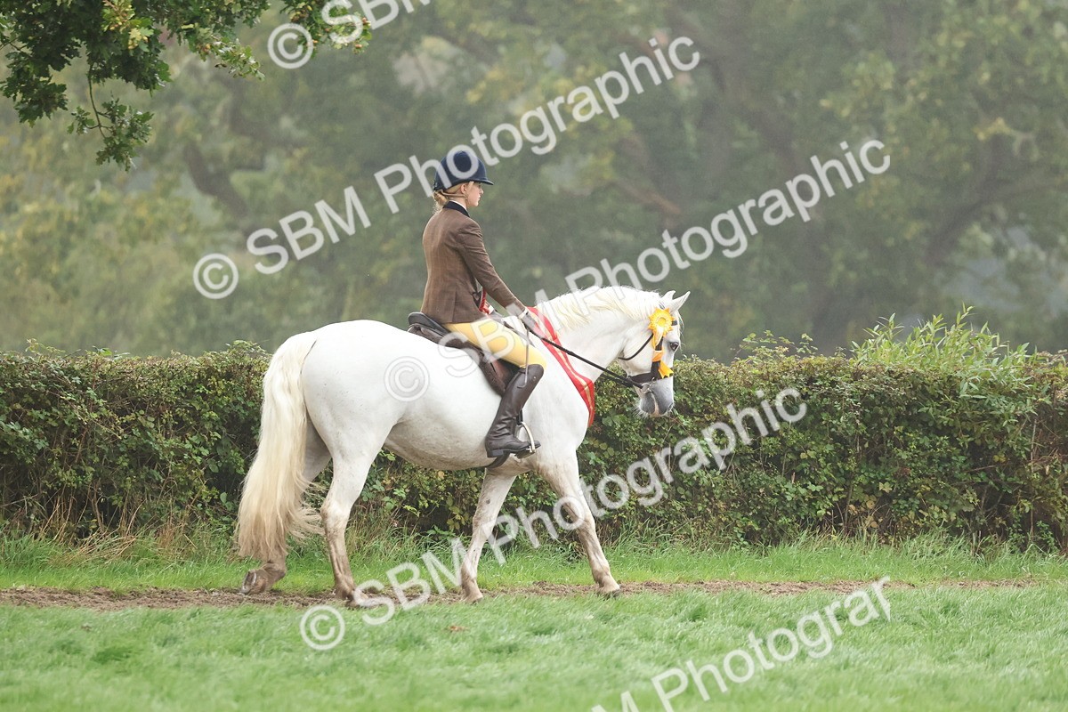 SBM_73180 - Super Supreme Championship(Sun)