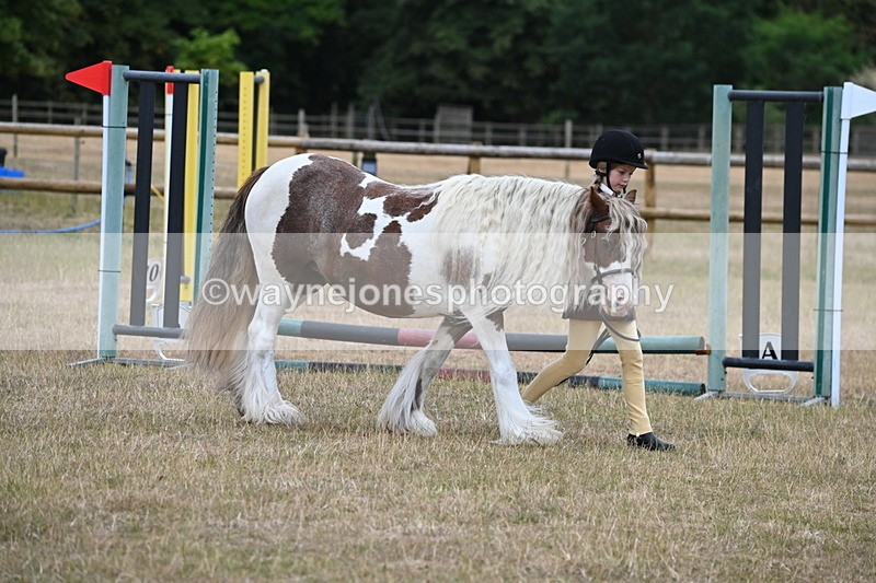 WJ6_8561 - Class 10 Coloured in Hand