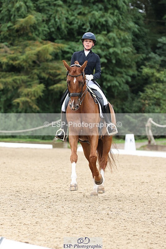 240810-133529-03351 - 188-Amanda.Towle.Shaw-Rockwood.Virtue