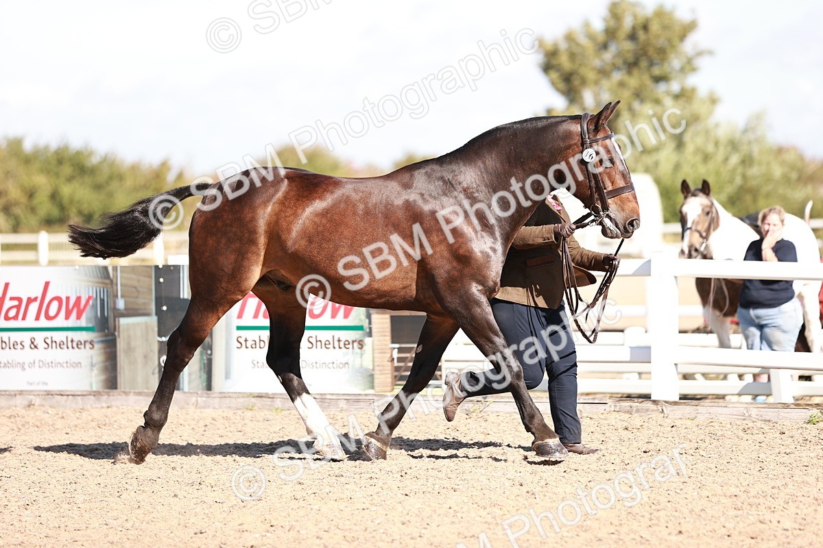 SBM_13233 - Class 405 - IH Show Cob