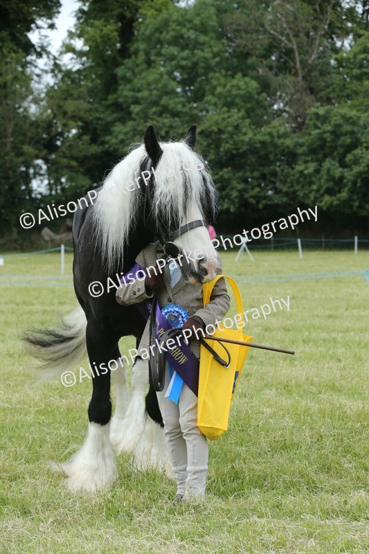 20260614-4329 - Class 18 - Best Junior Handler