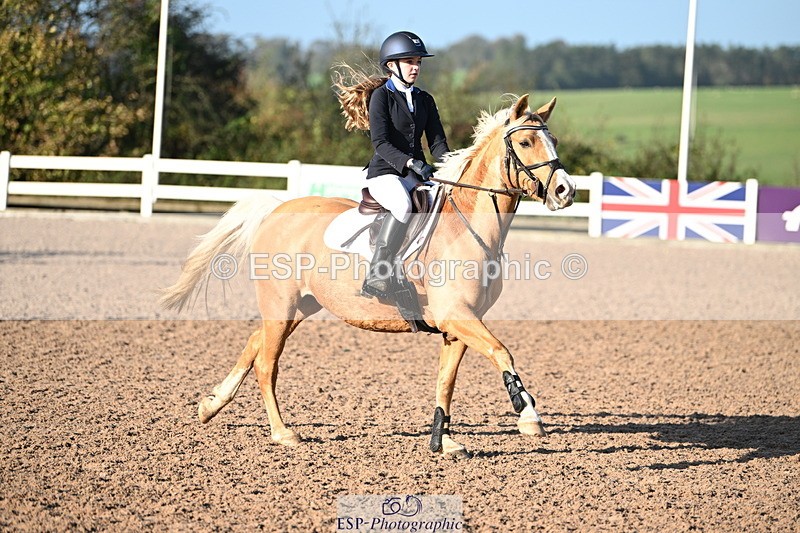 241026A-101805-00108 - SAT Cls 3 Pony Intro 70cm