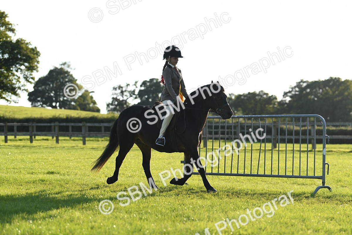 SBM_54214 - S23 - 1st Ridden Mountain & Moorland Pony