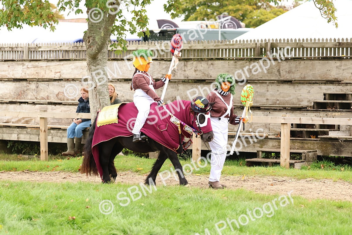 SBM_61616 - S37a - Fancy Dress Showing