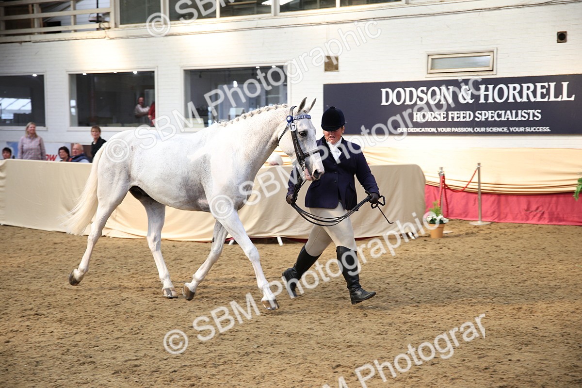 SBM_24781 - Class 906 - Supreme Final - Ridden Pre Vet