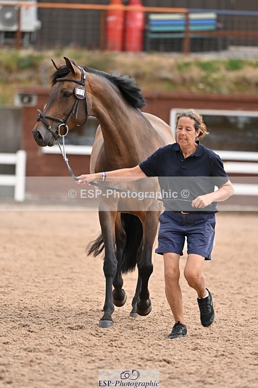250716-145327-01479 - Trot Up 2.30 to 3.30