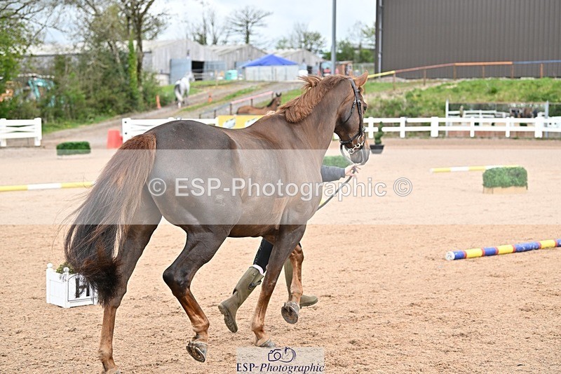 250423-114619-00135 - 11am to 12