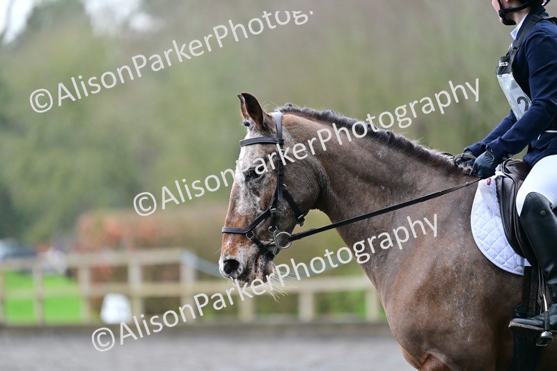 20260125-3667 - Class 12 - Novice