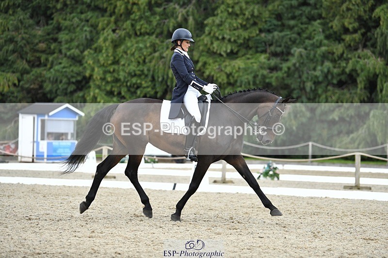 230812-143206-04721 - Cls 7 FEI PSG Bronze