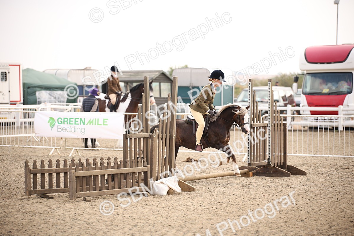 SBM_11686 - Class 404b Junior Working Veteran- 40cm(20+)