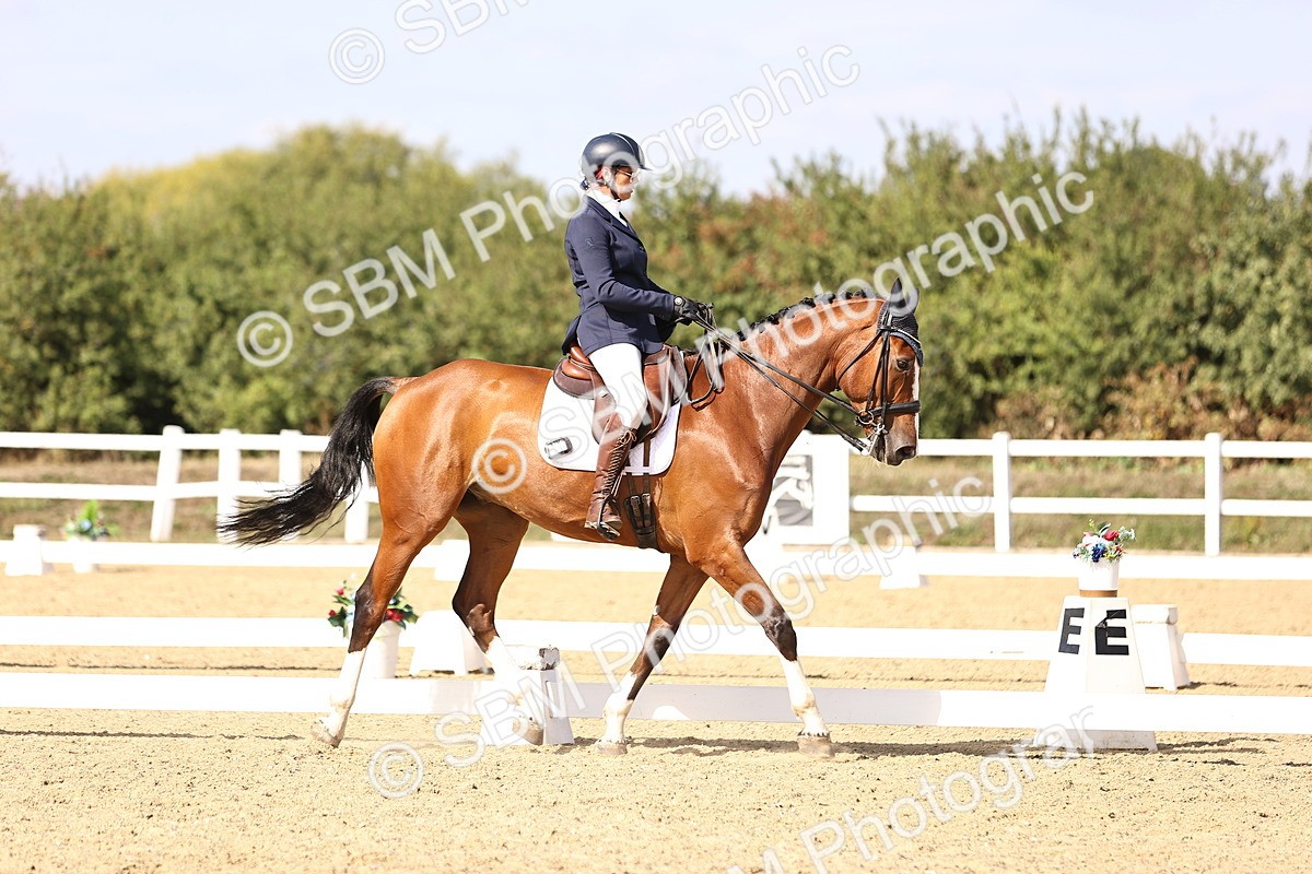 SBM_015200 - Class 8 - Medium 5