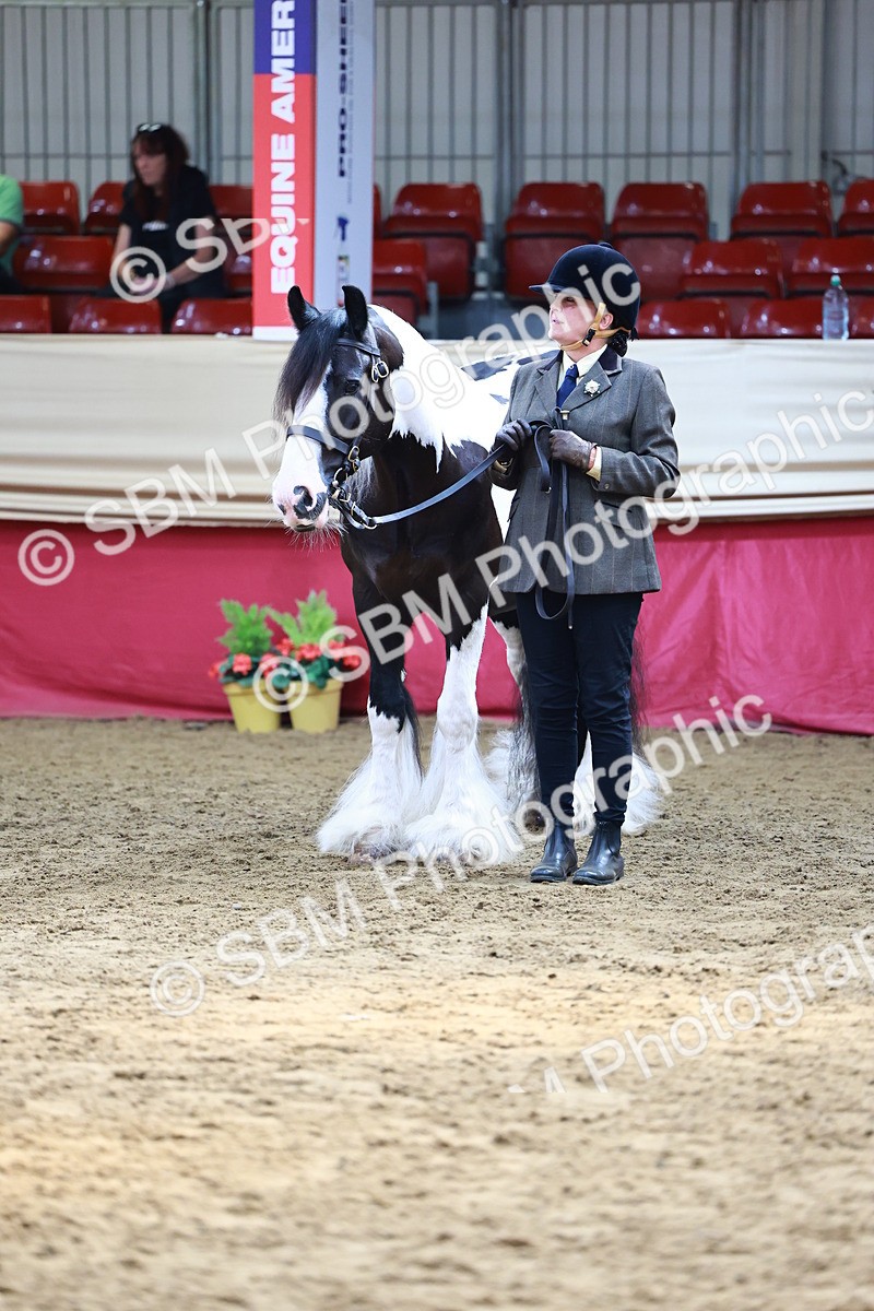SBM_23121 - Class 903 - Supreme Final - IH Pre Vet