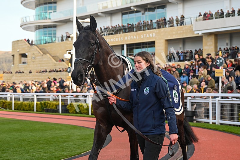 250125-Race 4-Delta Work-3404 - Race 4