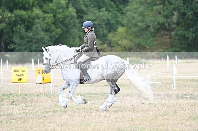 WJ7_5130 - Class 12 Ridden Cob