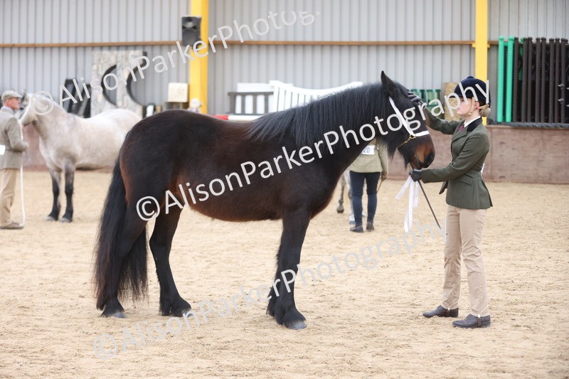 20251109-0964 - Class 26 - 2 and 4 Year Olds