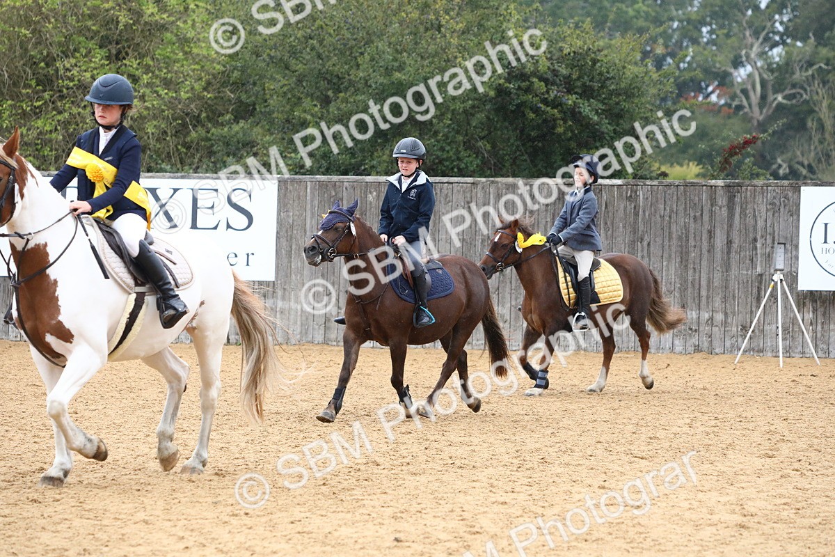 SBM_72132 - J3b - Mini Tour Junior Pony 40cm Championship