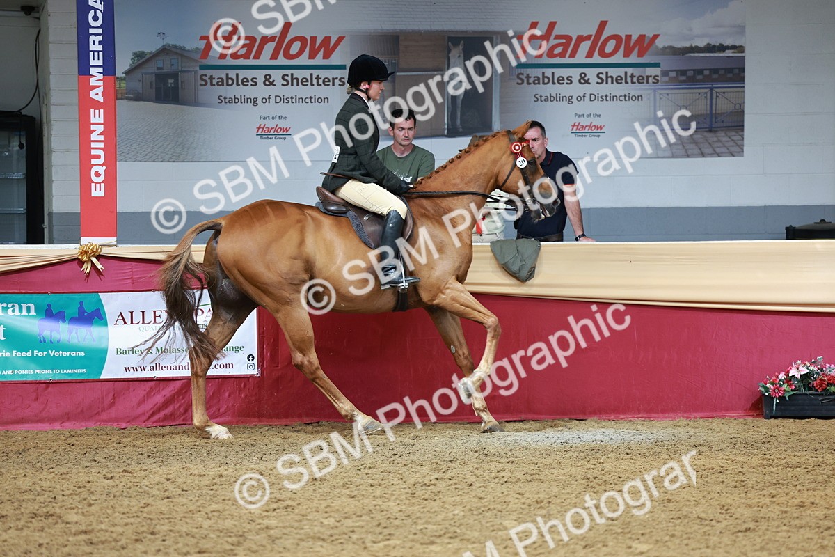 SBM_14941 - Class 108 - Ridden Retired Racehorse