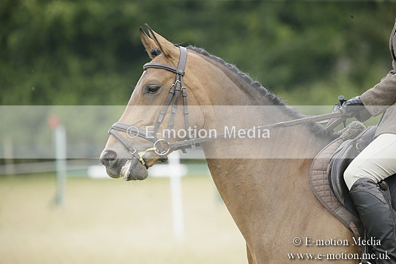 B230619-0880 - Bourne Valley Riding Club Summer Show 23/06/19